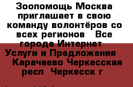 Зоопомощь.Москва приглашает в свою команду волонтёров со всех регионов - Все города Интернет » Услуги и Предложения   . Карачаево-Черкесская респ.,Черкесск г.